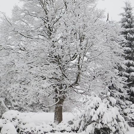 Chata U Lesa Výprachtice Exteriér fotografie